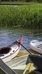SUP-lautojen vuokraus, Satava Kayak & SUP