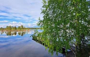 Silmu- saunamäkki