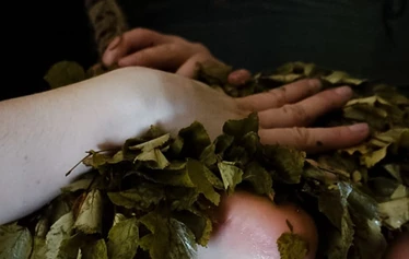 Hotelli viikinhovin sauna