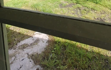Pääskynpesä - Tämä mökki on pienen lehtometsän vierellä. Siellä asustaa useita lintuja esimerkiksi satakieli ja lepinkäinen.
