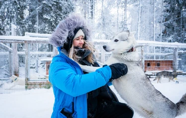 ready to set off on a husky safari - Experience an authentic dog sled safari in Ranua and drive your own husky team on a guided safari with Arctic Borealis Huskies. Small groups, well-cared-for huskies, personalised service and the snow-covered forests of Lapland offer an unforgettable winter experience for all ages.