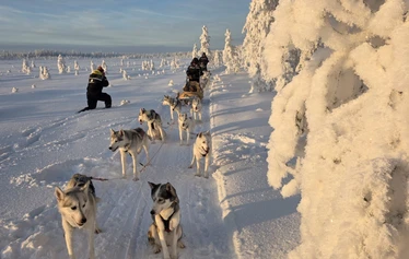 A photo break during a full-day husky safari - Arctic Borealis Huskies’ full-day safari takes guests deep into Lapland’s winter wilderness. This longer excursion offers more time to enjoy the idyllic scenery, learn about the huskies, spend time with the dogs and stop to take photos of the magnificent views that unfold along the way.