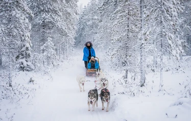 A photo break during a full-day husky safari - Arctic Borealis Huskies’ full-day safari takes guests deep into Lapland’s winter wilderness. This longer excursion offers more time to enjoy the idyllic scenery, learn about the huskies, spend time with the dogs and stop to take photos of the magnificent views that unfold along the way.