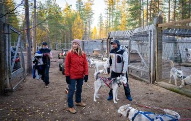 Drive your own husky sledge in Ranua - Experience an authentic husky safari in Ranua and drive your own husky sledge on a guided safari with Arctic Borealis Huskies. This family-run business offers sustainable husky experiences for small groups in the Lapland wilderness, where happy dogs, forest trails and personalised service combine to create an unforgettable experience all year round.