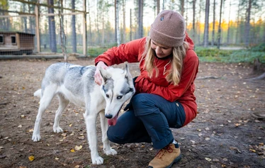 Husky safari in the tranquillity of Lapland’s wilderness - Experience a husky safari in the authentic Lapland wilderness and enjoy the peace and quiet of nature in a small group.