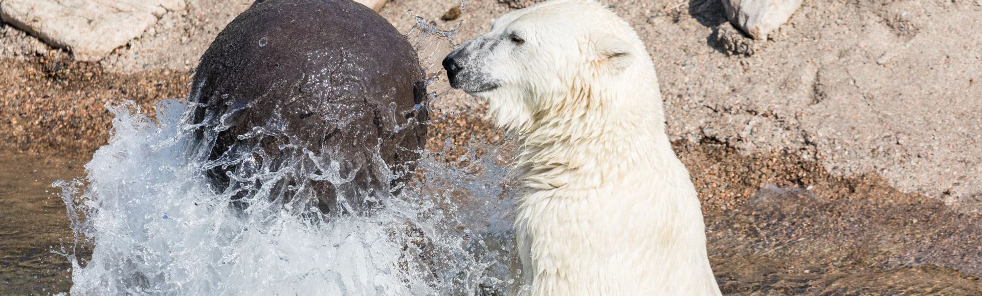 Ranuan Wildlife Park tickets