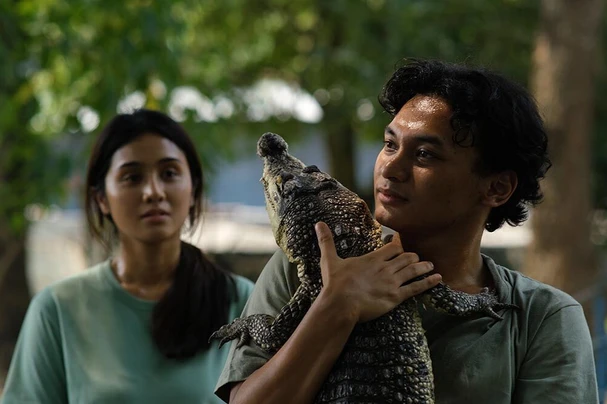 Crocodile Tears