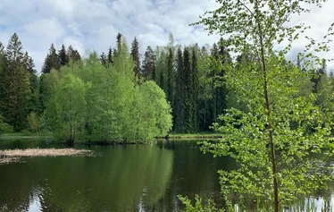 Kulttuurikävely ja kahvit Aulangolla 10-50 henkilölle - Kulttuurikävely ja kahvit Aulangolla 10-50 henkilölle