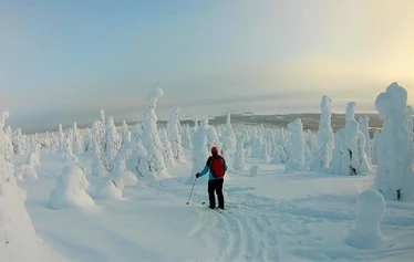 OAC skinbased skis