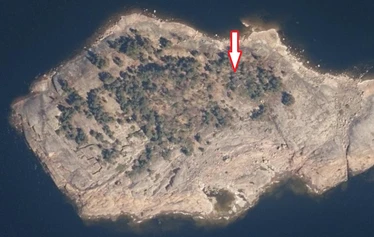 Lehdon kukintaa Järvenkarissa