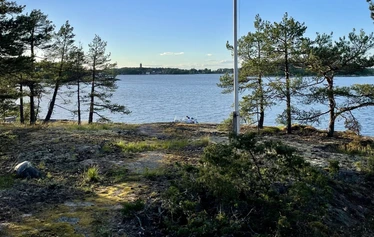 Lehdon kukintaa Järvenkarissa