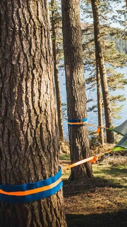 Tentsile teltat