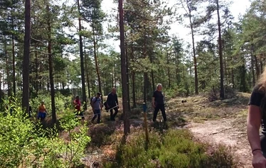 Saunan vieressä tentsile