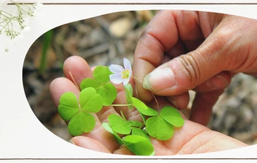 Lahjakortti elämyksiin - Lahjakortin voi käyttää Elämyksen Taian verkkokaupassa vaikkapa SUP-laudan vuokraamiseen. Sup-laudat ovat vakaat eikä aiempaa kokemusta suppailusta tarvita.