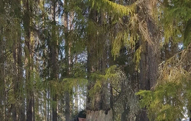 Suuri kelokanto kuviorajalla