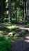 Explore Isojärvi National Park