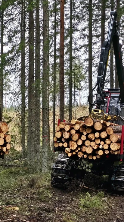 Metsänhoitopalvelut