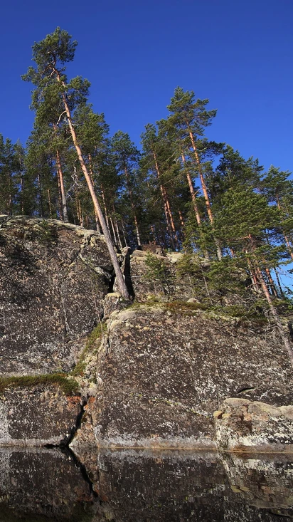 Etelä-Konneveden kansallispuisto