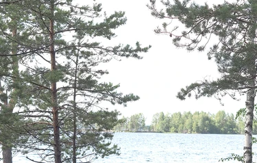 Lapinsalon kotalaavu - Kuva: Iiro Lyytinen