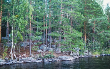 Enonrannan kotalaavu - Kuva: Iiro Lyytinen