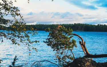 Enonrannan kotalaavu - Kuva: Iiro Lyytinen