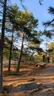 Guided Nature Tours