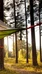 Adventure & Experience accommodation