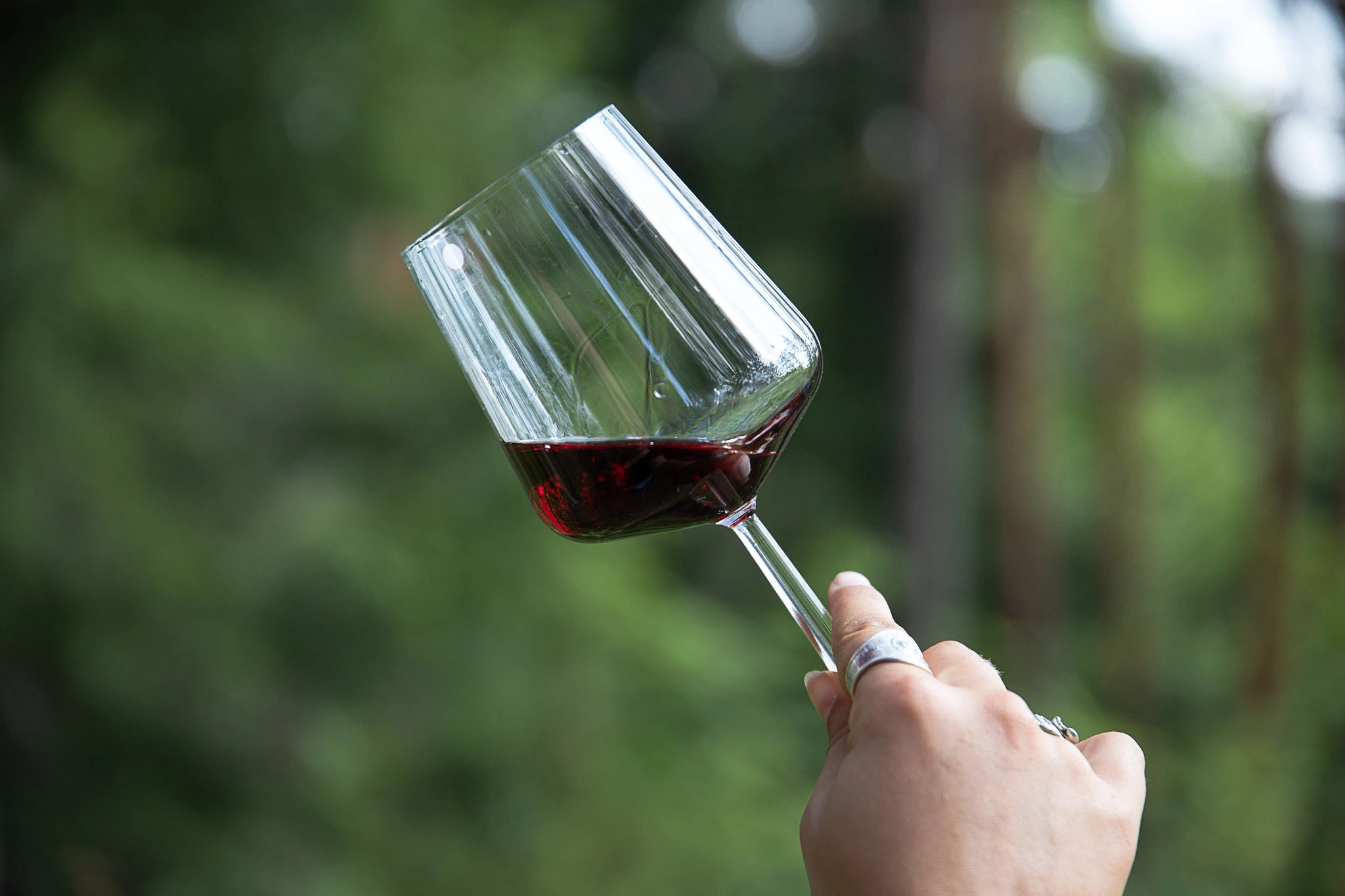 Wine In The Woods Red Wine Tasting Finland Naturally Experiences
