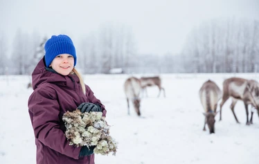 Guests feeding reindeer at a family-run farm near Oulu