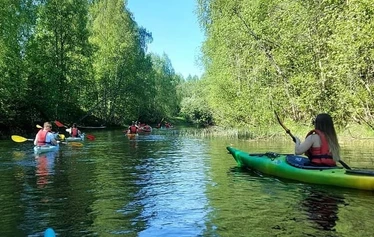 Melonta Oulu
