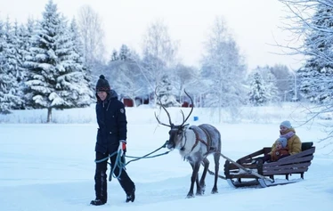 Guests feeding reindeer at a family-run farm near Oulu