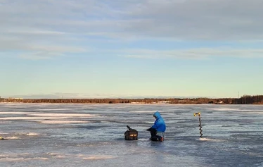 Pilkintä