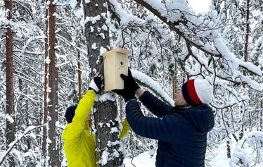 Linnunpönttö - Linnunpöntön ripustaminen