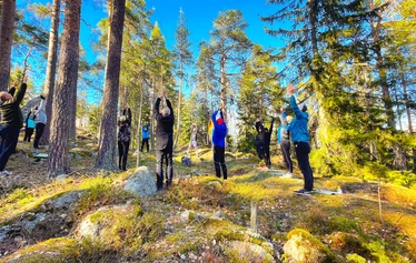 Metsämieli | Nuuksio | FoRestful - Metsämieli