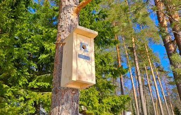 Linnunpönttö | Nuuksio | FoRestful - Yritykselle oma linnunpönttö