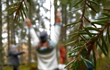 Luontolataus | Nuuksio | FoRestful - Kaunis metsämaisema
