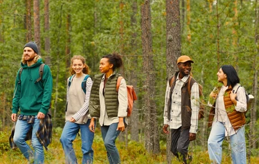Luontolataus | Nuuksio | FoRestful - Kaunis metsämaisema