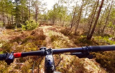 Fatbike | Nuuksio | FoRestful - Fatbike -retki