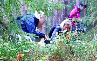 Sieniretki | Nuuksio | FoRestful - Sieniretki