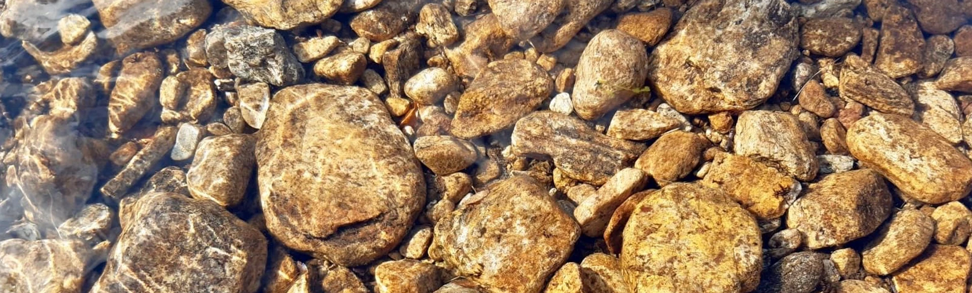 RYHMILLE UUTELAN ULKOILUALUEELLA