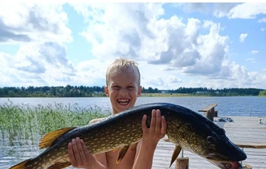 Tervetuloa Goigloon!