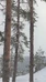 Saimaan talviretket