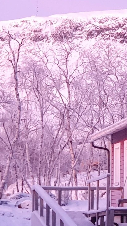 Accommodations in Guesthouse Haltinmaa & Online Shop