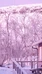 Accommodations in Guesthouse Haltinmaa & Online Shop