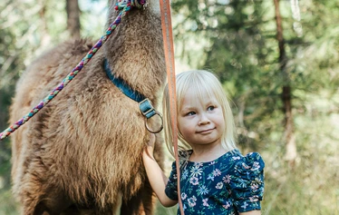 Elämyksellinen eläinkävely - Helppokulkuinen eläinkävely maaseutumiljöössä Hanhenlennossa Iisalmessa. Kuvassa poro, lapset ja aikuinen kesäisellä kukkaniityllä. 