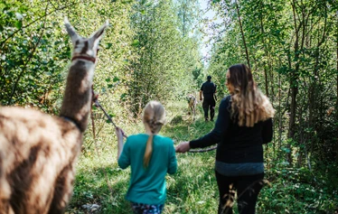 Elämyksellinen eläinkävely - Helppokulkuinen eläinkävely maaseutumiljöössä Hanhenlennossa Iisalmessa. Kuvassa poro, lapset ja aikuinen kesäisellä kukkaniityllä. 