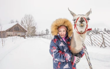 Eläinten esittely- ja hoitohetki Hanhenlennossa - Enemmän kuin pelkkä vierailu – eläinten lähelle turvallisesti ja rauhassa.