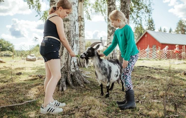 Eläinten hoitoa