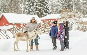 Eläinten esittely- ja hoitohetki Hanhenlennossa - Enemmän kuin pelkkä vierailu – eläinten lähelle turvallisesti ja rauhassa.