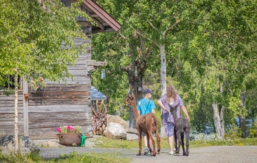 Eläinten esittely- ja hoitohetki Hanhenlennossa - Enemmän kuin pelkkä vierailu – eläinten lähelle turvallisesti ja rauhassa.